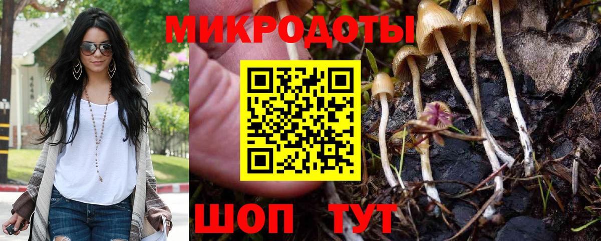 Галлюциногенные грибы Cubensis Краснотурьинск